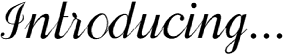 Introducing