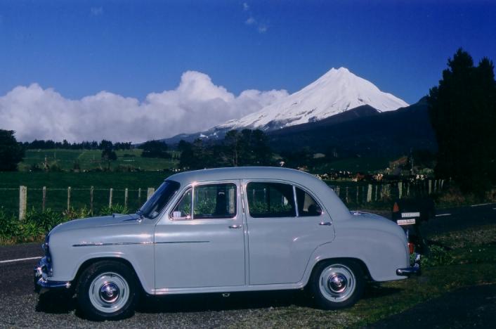 Moggy and Mount Taranaki